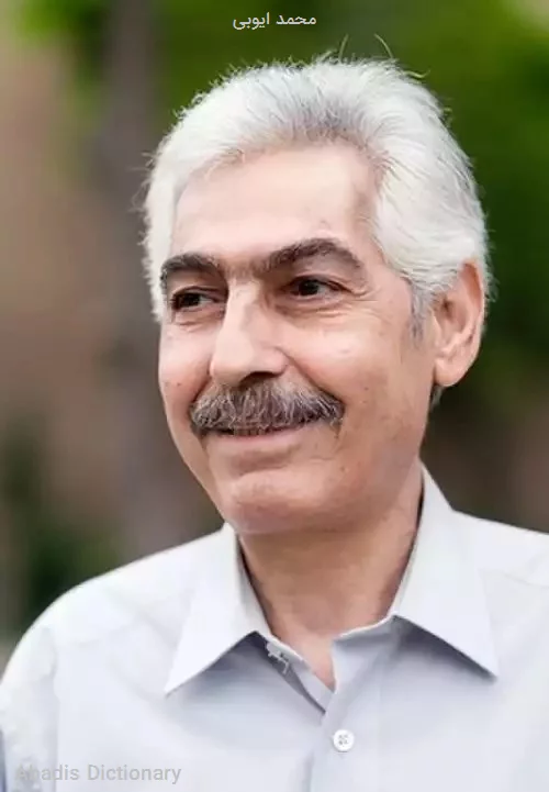 محمد ایوبی